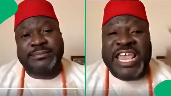 "Stop annoying us": SA reacts to Nigerian king's call for Mzansi to be under Nigerian leadership