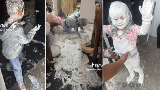 Video of kids playing with white paint inside the house goes viral: "Is this a commercial for birth control?"