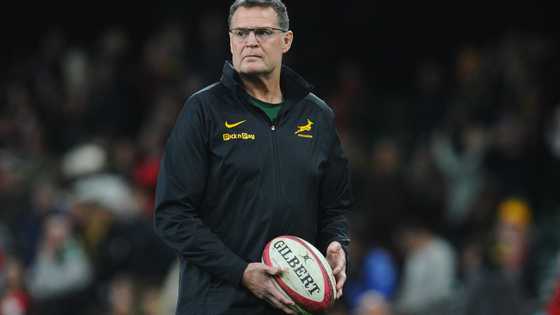 Rassie Erasmus refuses to be drawn into Argentina controversy before crucial Springboks Test
