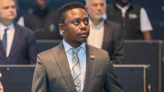 DA blames Gayton Mckenzie for Thapelo Amad's resignation as Joburg mayor