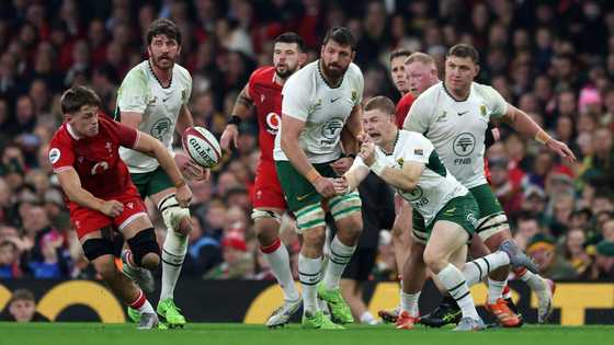Another Springboks star sidelined for majority of Test season through injury