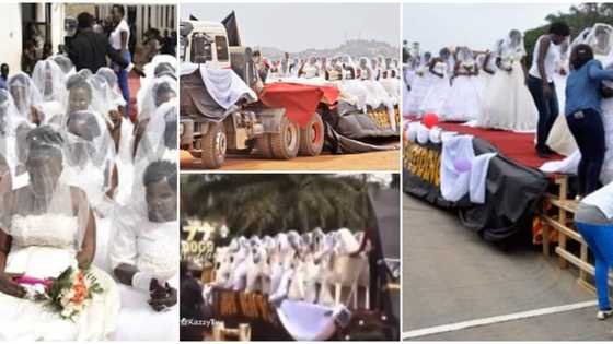 Epic throwback video of 200 brides being driven to their mass wedding in a trailer resurfaces, stirs reactions