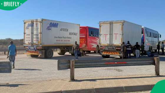 South Africans question BMA after undocumented passengers dound aboard Zimbabwean buses in Limpopo
