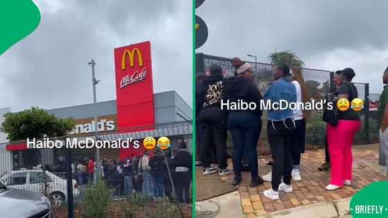 Mzansi McDonald's fans queue for hours as Big Mac meal drops to just R30 in video