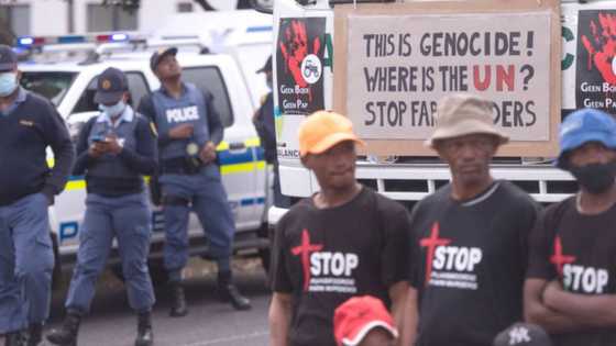 Giving cattle farmer, 70, killed in KZN, SA berates senseless slaying: 'Bloody country'