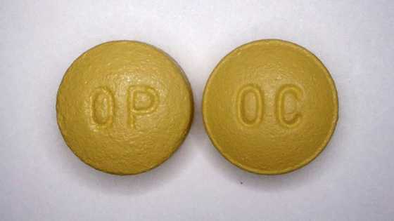 Publicis settles opioid case with US states for $350 mn