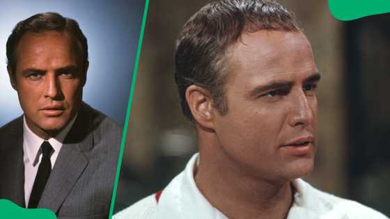 Who is Myles Jonathan Brando? Quick facts about Marlon Brando's son with Maria Cristina Ruiz