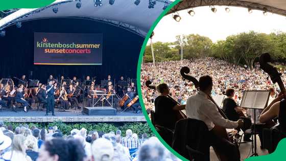 Kirstenbosch concerts 2025/2026: Schedule, tickets, and lineup