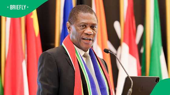 Deputy president Paul Mashatile claims ownership of R28 million Constantia Estate mansion