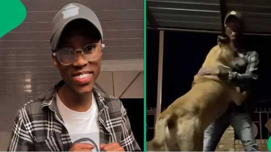 "His life flashed before his eyes": Dog tries to attack man after they hug, reaction humours SA