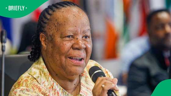 Former Minister Naledi Pandor's US visa revoked, South Africans comment