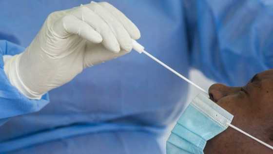 Covid19 update: Nearly 20 000 new cases, Gauteng counts for 57% of infections