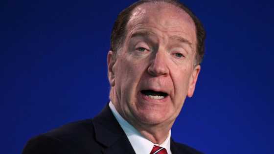 White House rebukes World Bank chief in climate row