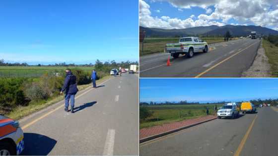 "Criminals have declared war": SAPS shutdown robbery at petrol station, SA proud