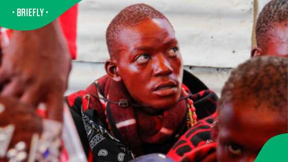 Initiate’s ritual with chicken on head left Mzansi divided online