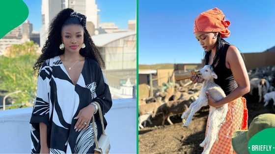 "Living my dream": Cape Town businesswoman embraces serene rural life while managing livestock