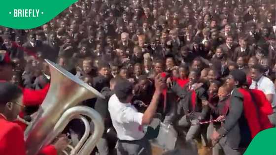 “It’s in our DNA”: South Africa raves over epic Parktown Boys High war cry video