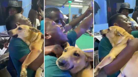 Video showing a man dancing with dog at the groove has Mzansi laughing: “Spoti seems to be enjoying himself”