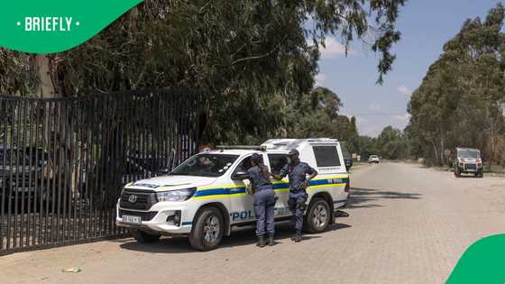 Nhlanhla Mkhwanazi suspends SAPS officers for misusing van for matric farewell