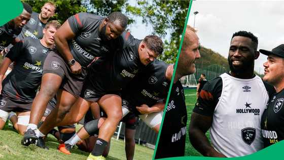 "It costs absolutely nothing": The Sharks' response to free ice cream after training has SA proud