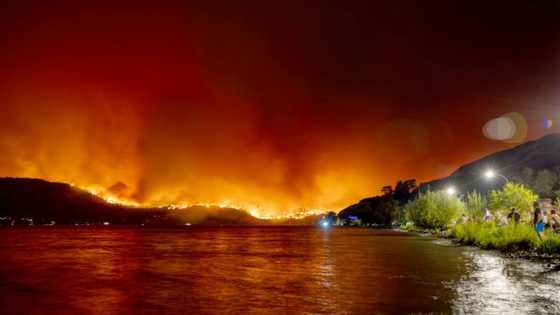 Canada wildfires inflict brutal toll on tourism, other areas of economy