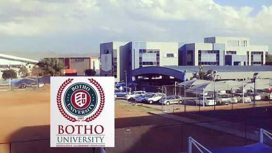 TOP 15 COLLEGES THAT OFFER TEACHING COURSES IN SOUTH AFRICA visual data 5