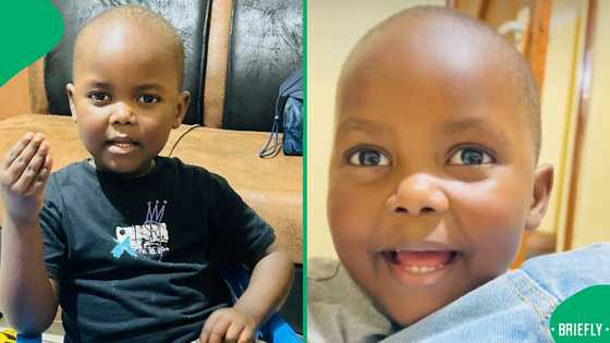 "He knows how to gossip": Zuluboy spills tea on uncle's relationship, SA in stitches