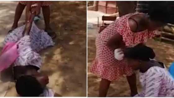 Emotions run high as woman falls flat in tears as she meets her missing child for the 1st time after 7 years