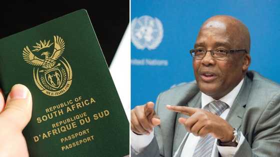 Home Affairs cracks down on foreign nationals and department officials who make fake SA IDs and passports