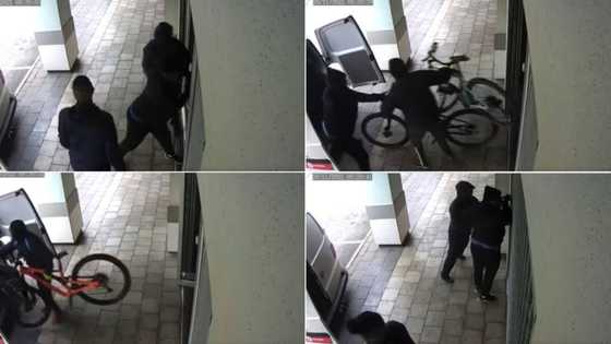 "No law in SA": Clip of crooks stealing bike in broad daylight, SA wants answers