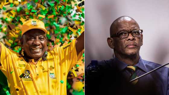 Ramaphosa's call for Magashule to step aside backed by ANC Top 6