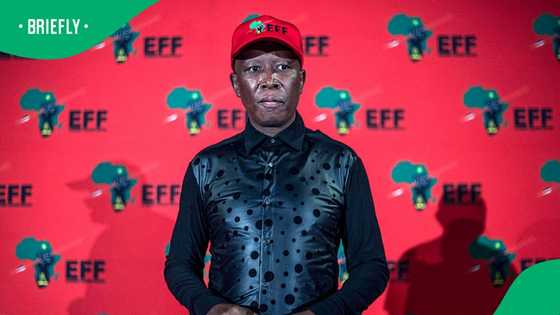 Julius Malema responds to allegations that he is linked to Feroz Khan