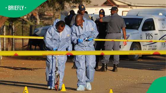 Tragedy strikes Limpopo as traditional leader shot dead during robbery