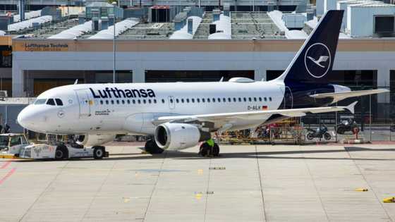 Lufthansa launches hiring drive as recovery gathers pace
