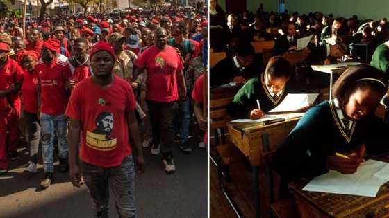 EFF demands school placement of 2 000 learners, gives Gauteng Education department 24 hours