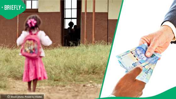 Western Cape principals pay protection fees to safeguard schools from crime, South Africans outraged