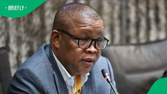 SANDF deployment to combat illegal mining supported by law, says committee chair