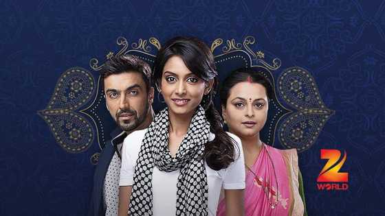 Reach for the Stars Zee World cast, plot summary, full story, teasers