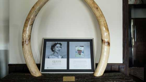 Fell asleep a princess, awoke a queen: Elizabeth in Kenya