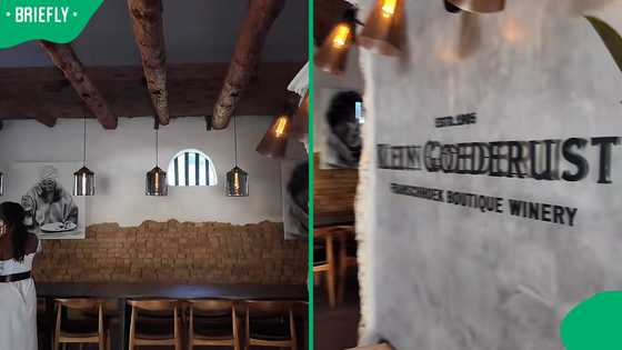 "The scenery is beautiful": UK woman shows inside of first black-owned wine farm in Western Cape