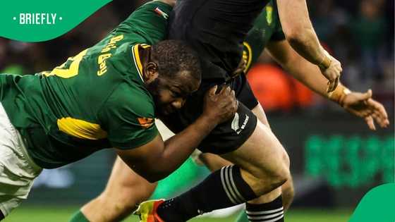 Springboks ticket chaos: SARU fires back after fans miss All Blacks clash