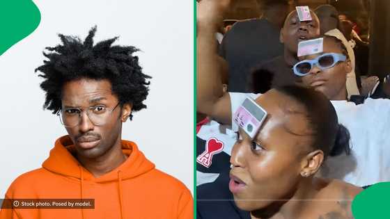 "Flexing with a car would make sense": Groovists flex their licenses at a party, SA's unimpressed
