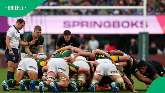 Rassie Erasmus’ loyalty to old guard could cost Springboks at 2027 World Cup