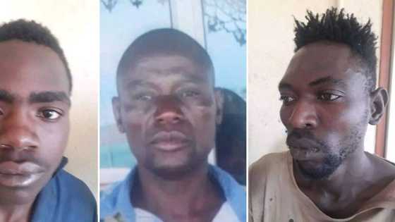 3 Prisoners escaped from prison in Limpopo through a hole in holding cell, SA reacts