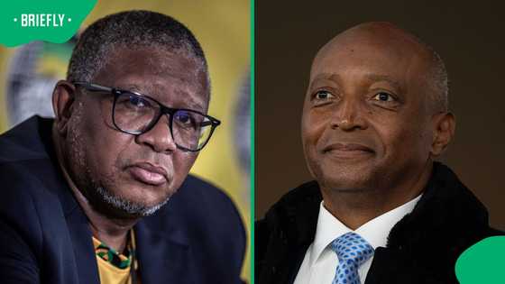 Fikile Mbalula responds to allegations that Patrice Motsepe is on the ANC Presidency campaign trail