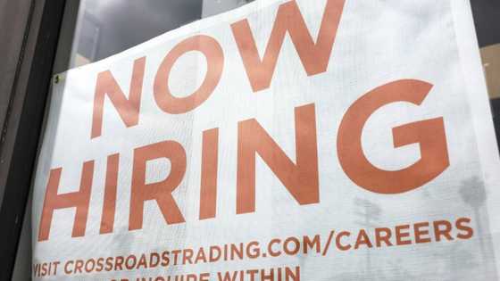 US hiring rises unexpectedly but labor market shows signs of cooling