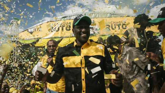 Kenya's Ruto: the chicken hawker turned presidential 'hustler'