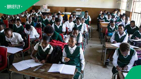 5,464 Pupils yet to be placed as Gauteng 2026 admissions process continues