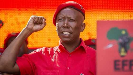 Julius Malema: Mzansi responds to trial date set for EFF leader