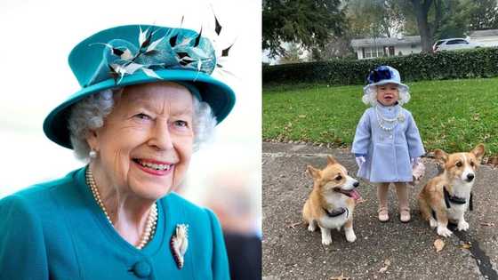 US child dresses up like Queen Elizabeth II and ends up getting royal mail